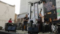 festival rockn blues