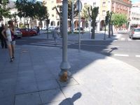 peluche