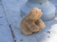 peluche