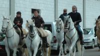 romeria ecuestre