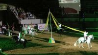 espectáculo de caballos en Don Benito