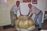calabaza de Don Benito
