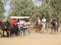 piccruces7