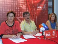 psoe copago