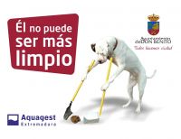 campaña perros