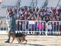 guardia civil