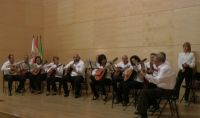 rondalla pulso y púa