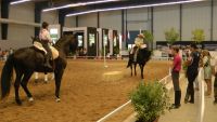 actividades ecuestres en la Feria