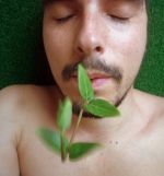 fernando sembrador
