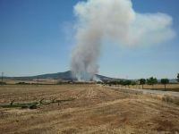 incendio en la zona de las cruces