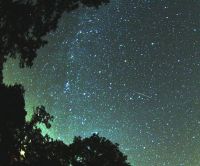 perseidas
