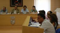 pleno