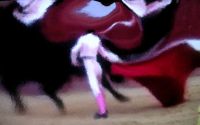 soriano toros