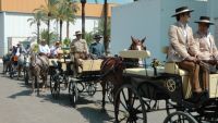 caballos en la feria de Don Benito