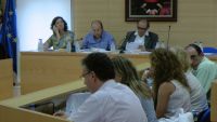 pleno Don Benito