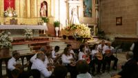 rondalla pulso y púa