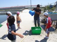 niños en las actividades