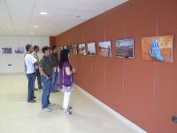 exposición