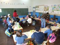 colvaldes1