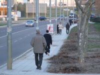 paseo del colesterol