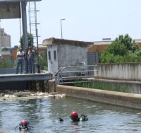 busqueda en canal