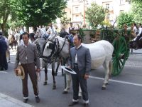 romeria
