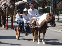 romeria