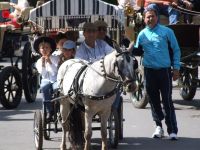 romeria