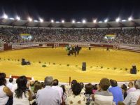 caballos