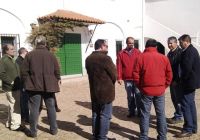 dia en efa