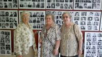 visitantes