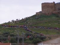 ruta