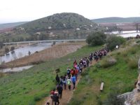 ruta