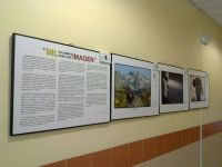 exposición