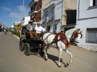 coronada carro
