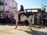 coronada jinete