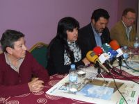 femsa2011