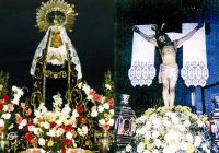 pasos stamalia