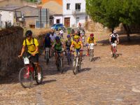 ruta