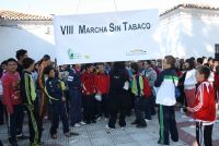 sintabaco2