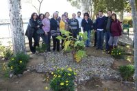 taller higuera