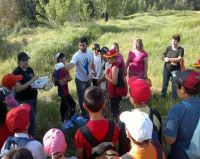 acciones en rios