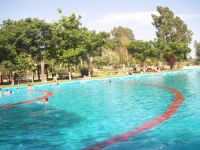 guadalpisci
