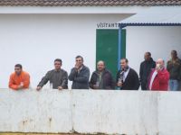 aficionados