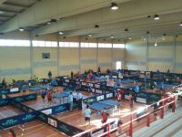 tenis de mesa