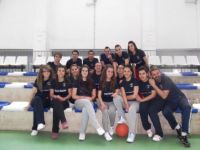 monitores