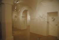 magacela arte