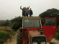san anton6