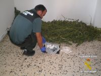 droga intervenida