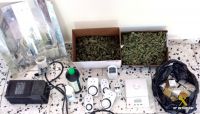 marihuana